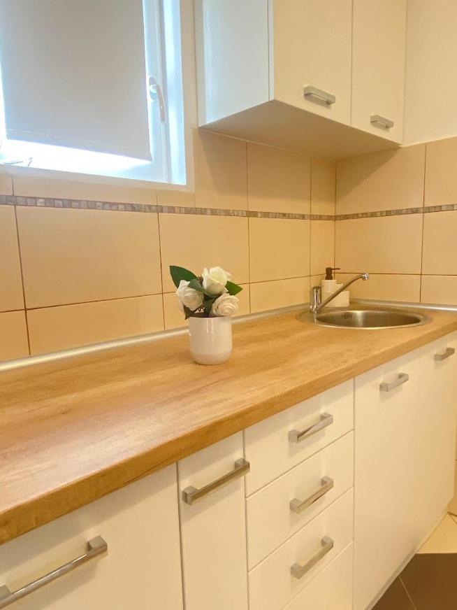 Apartman Mina Mataruska Banja Luaran gambar