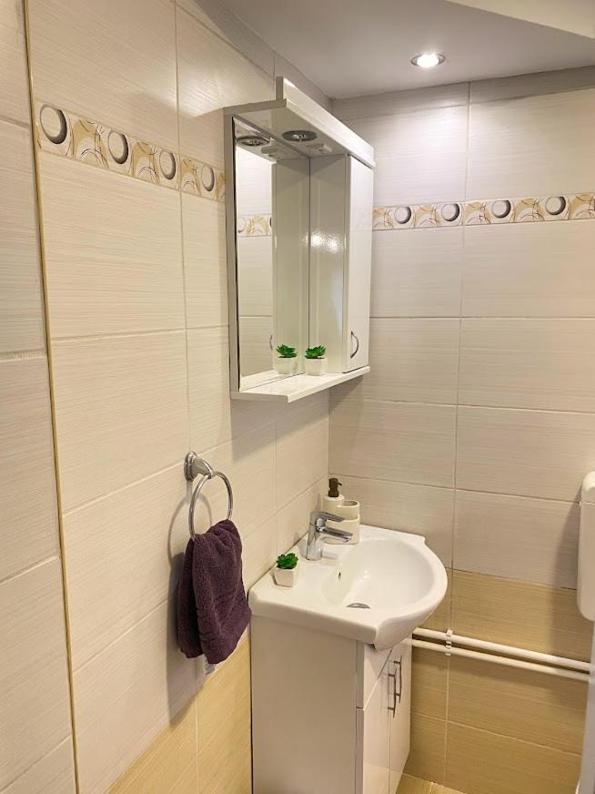 Apartman Mina Mataruska Banja Luaran gambar